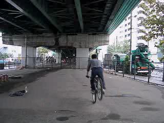 Xgbs[2