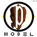 P-MODEL